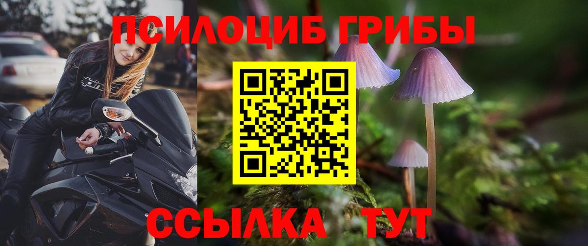 Галлюциногенные грибы Psilocybe  Вход с VPN  Псилоцибиновые грибы мицелий  Пермь 